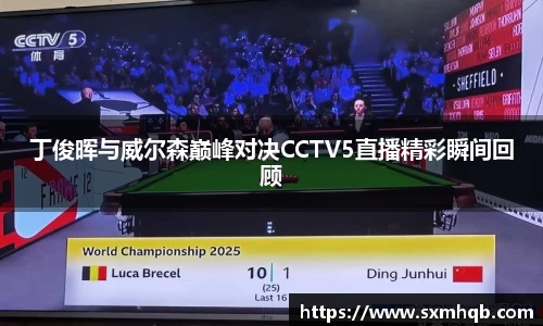 丁俊晖与威尔森巅峰对决CCTV5直播精彩瞬间回顾